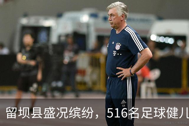 留坝县盛况缤纷，516名足球健儿齐聚汉中市联赛揭幕战